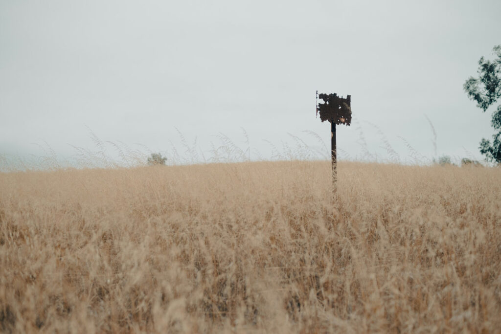 Self Disclosure in Counselling